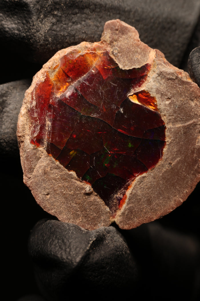 10.27g Rough Ethiopian Chocolate Opal