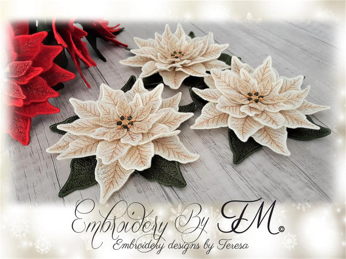 3D Poinsettia