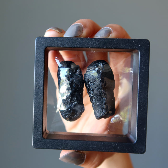 rough black tektites in display case