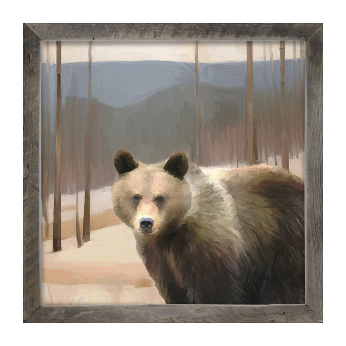 Brown Bear