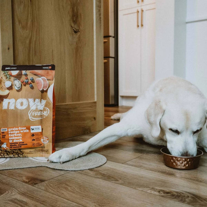 Petcurean Now Fresh Senior Turkey, Salmon & Duck Grain-Free Dry Cat Food
