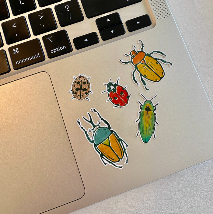 Root & Branch Paper Co. - Beetles Sticker Sheet