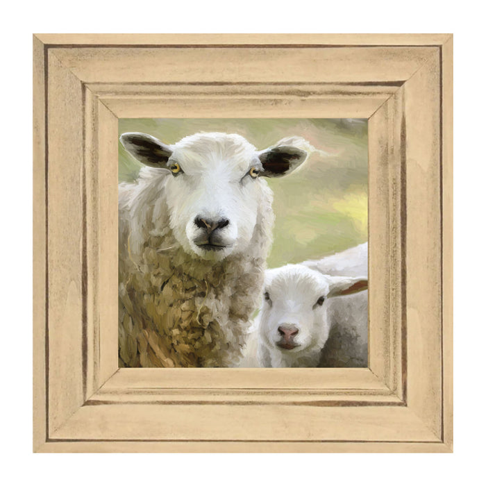 Sheep and Lamb