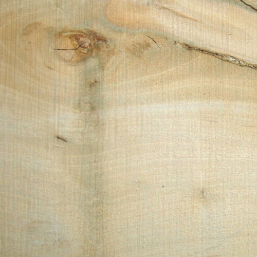 4/4 White Holly - 1 Lumber - Advantage Lumber