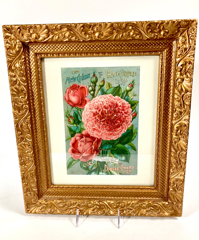 Antique Framed NEW GUIDE TO ROSE CULTURE 1897 Cover Lithograph