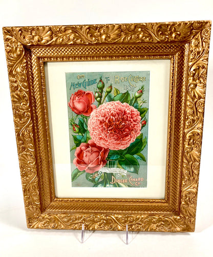 Antique Framed NEW GUIDE TO ROSE CULTURE 1897 Cover Lithograph