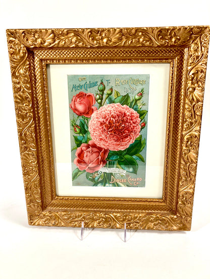 Antique Framed NEW GUIDE TO ROSE CULTURE 1897 Cover Lithograph