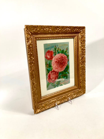 Antique Framed NEW GUIDE TO ROSE CULTURE 1897 Cover Lithograph