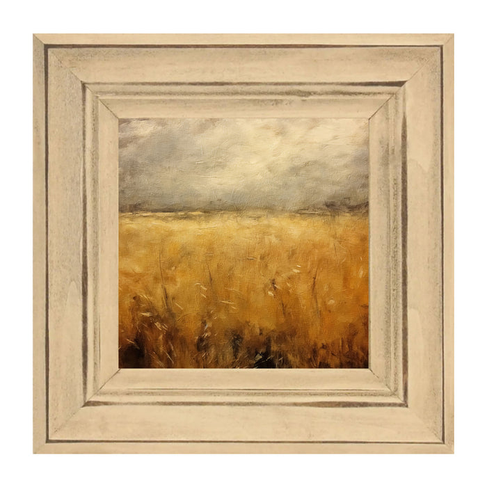 Autumn field