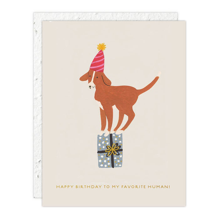 Birthday Dog Birthday Card | Seedlings