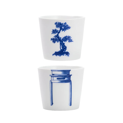 Bonsai Cups - Japanese Maple Set of 2
