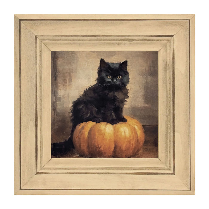 Cat on pumpkin