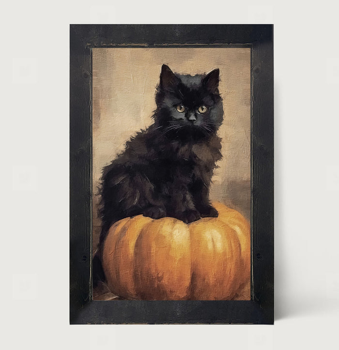 Cat on pumpkin