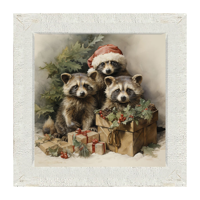 Christmas Raccoons