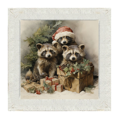 Christmas Raccoons