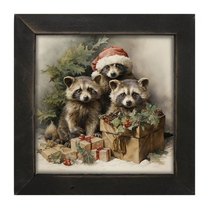 Christmas Raccoons