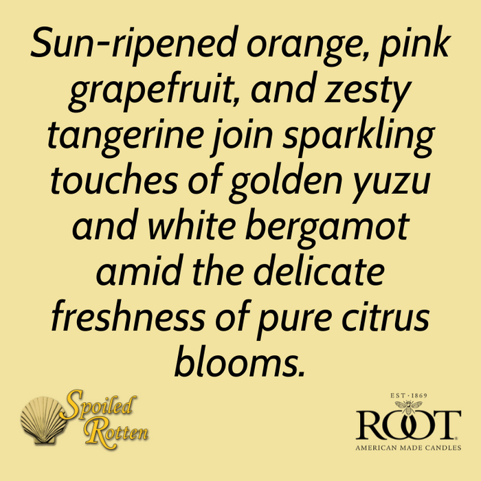 Citron & Bergamot Small Veriglass