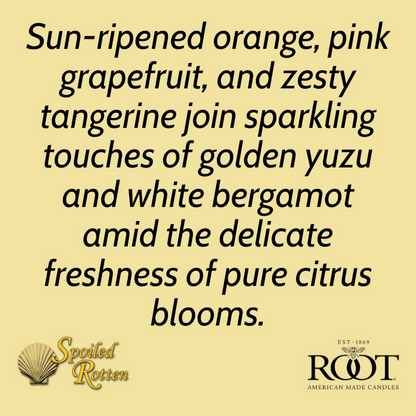 Citron & Bergamot Small Veriglass