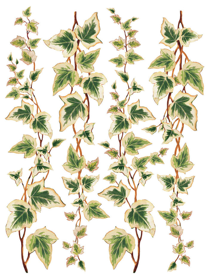Collage de Fleurs, Transfer by IOD, Iron Orchid Designs