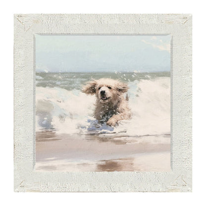 Dog running in water - Framed Art