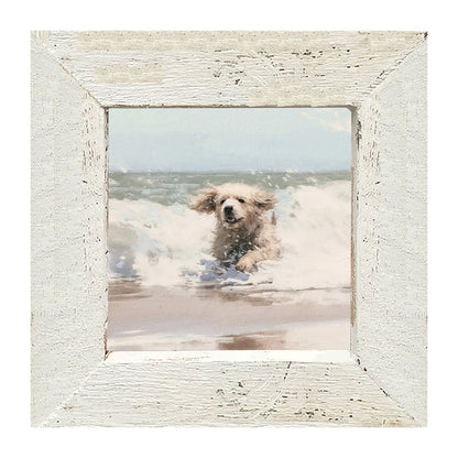 Dog running in water - Framed Art