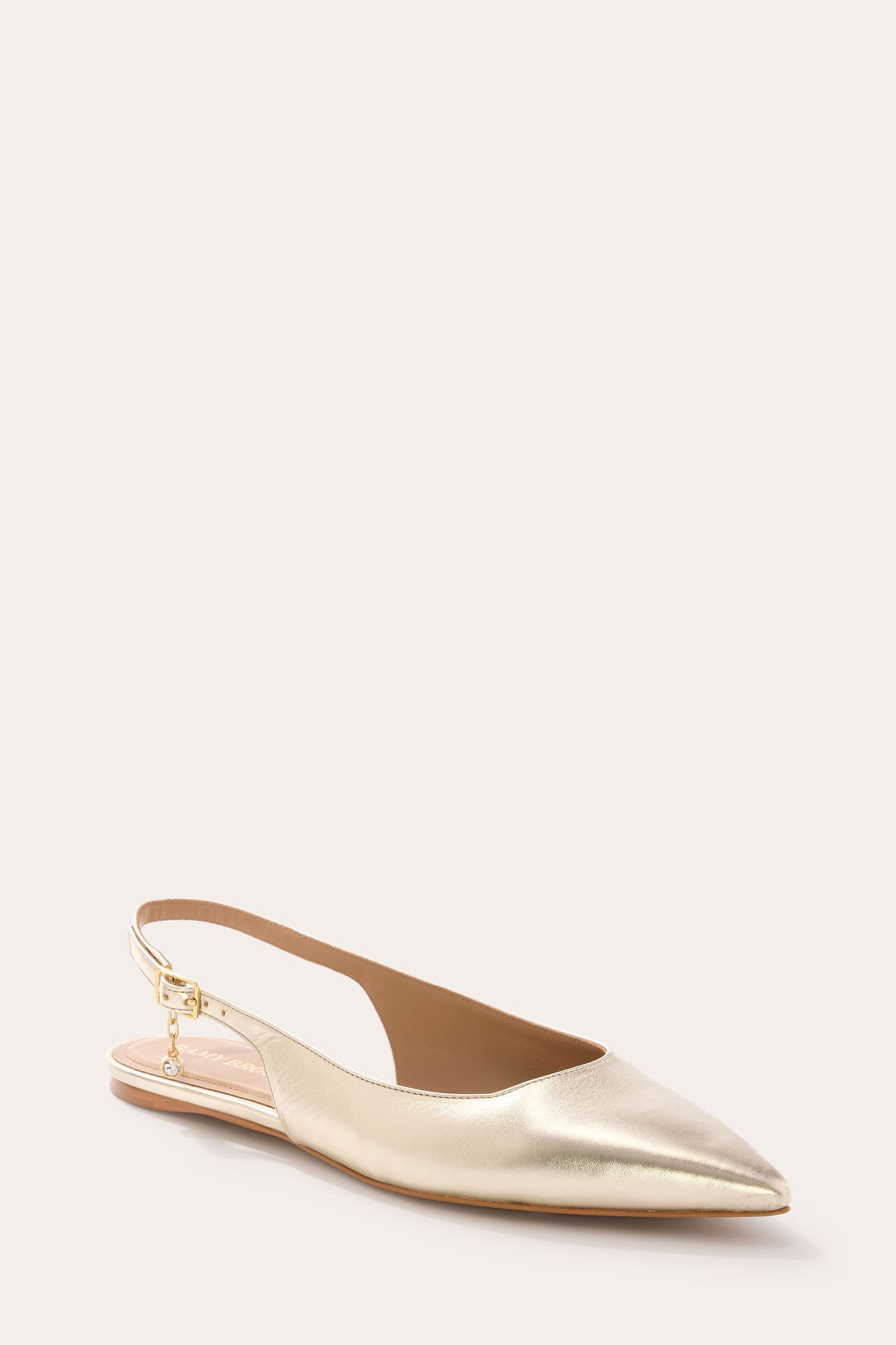 Ereka Pointed Toe Flat