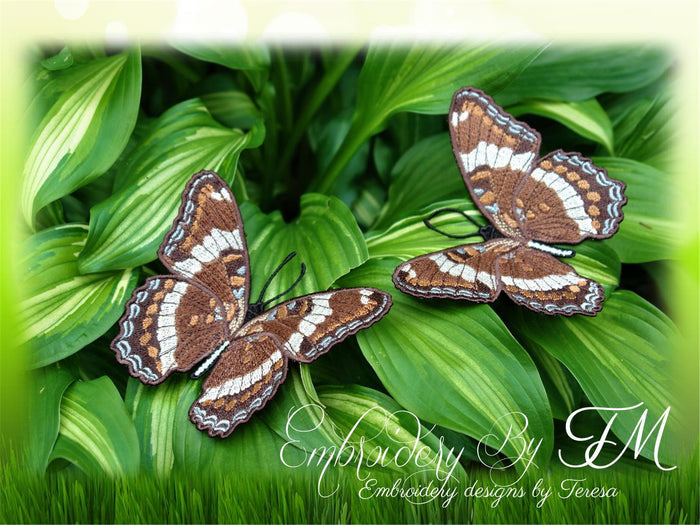 FSL Butterfly No. 13 / 5x7 hoop