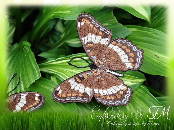 FSL Butterfly No. 13 / 5x7 hoop
