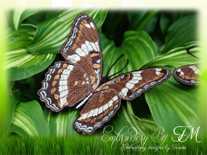 FSL Butterfly No. 13 / 5x7 hoop