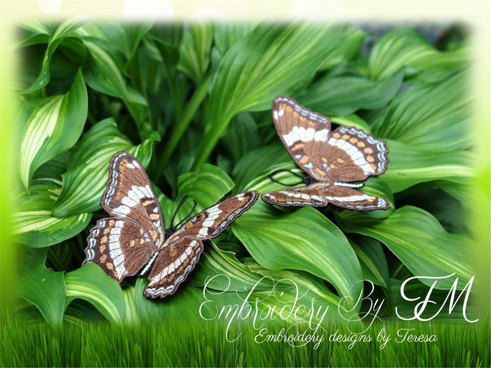 FSL Butterfly No. 13 / 5x7 hoop