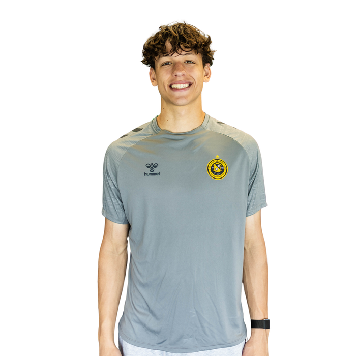 hummel PRO Training Jersey - Steel Gray