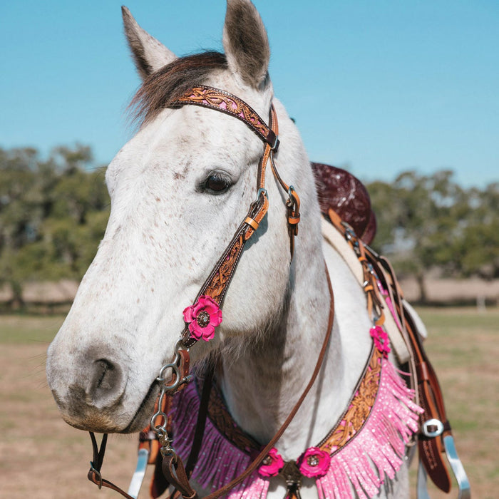 Malibu Browband Headstall by Circle Y