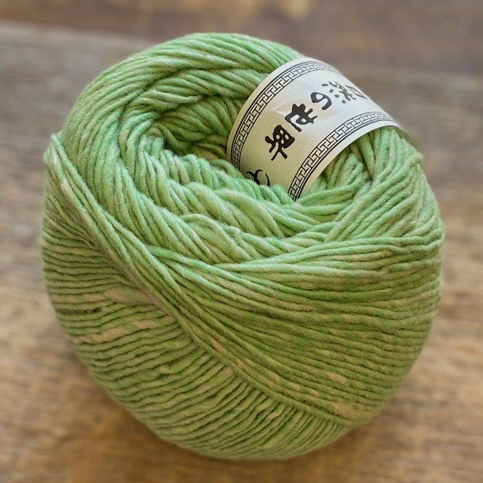 Budo 45
