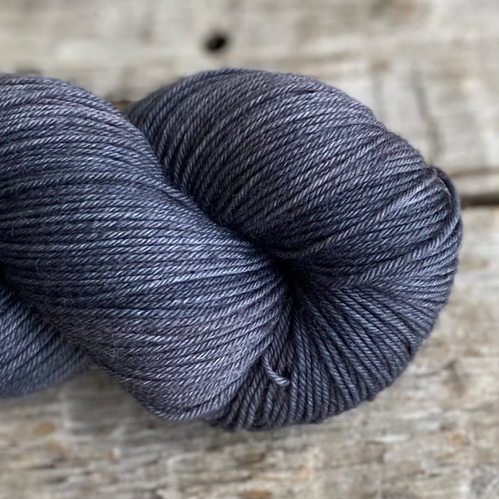 Storm Petrel