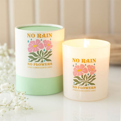 No Rain, No Flowers Citrus & Ginger Candle 🇬🇧