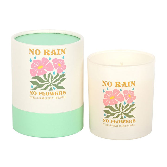 No Rain, No Flowers Citrus & Ginger Candle 🇬🇧