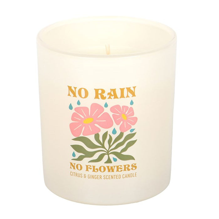 No Rain, No Flowers Citrus & Ginger Candle 🇬🇧