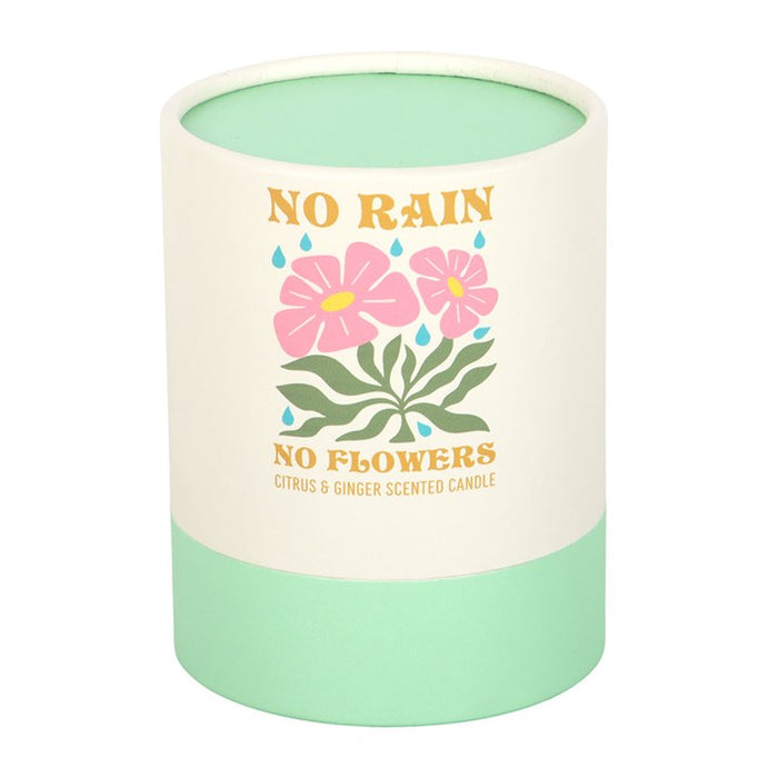 No Rain, No Flowers Citrus & Ginger Candle 🇬🇧