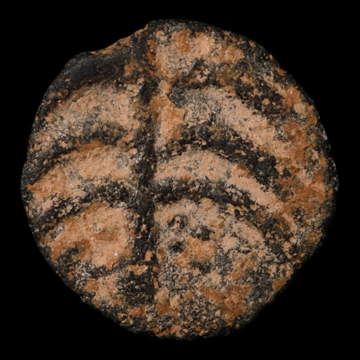 Phoenicia, City of Tyre, AE Unit, Tyche (Goddess of Luck) - c. 126 to 86 BCE - Greek World