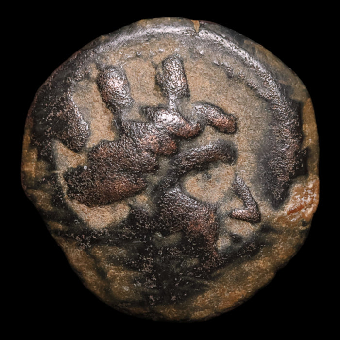 Phoenicia, Island of Arados, AE Unit, Tyche (Goddess of Luck) - c. 300 to 200 BCE - Greek World