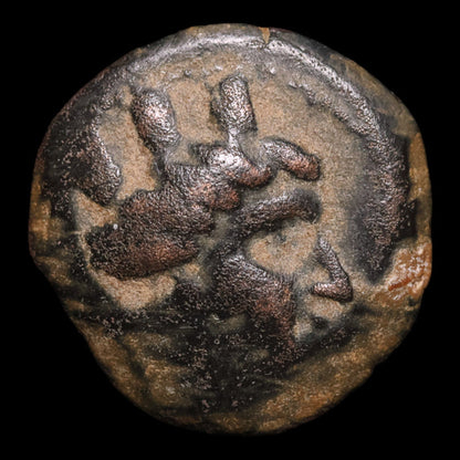 Phoenicia, Island of Arados, AE Unit, Tyche (Goddess of Luck) - c. 300 to 200 BCE - Greek World