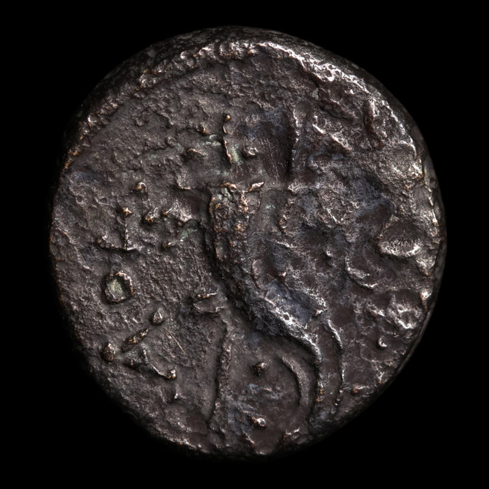 Phrygia, City of Laodikeia, AE Unit, Aphrodite (Goddess of Love) - c. 133 to 1 BCE - Greek World
