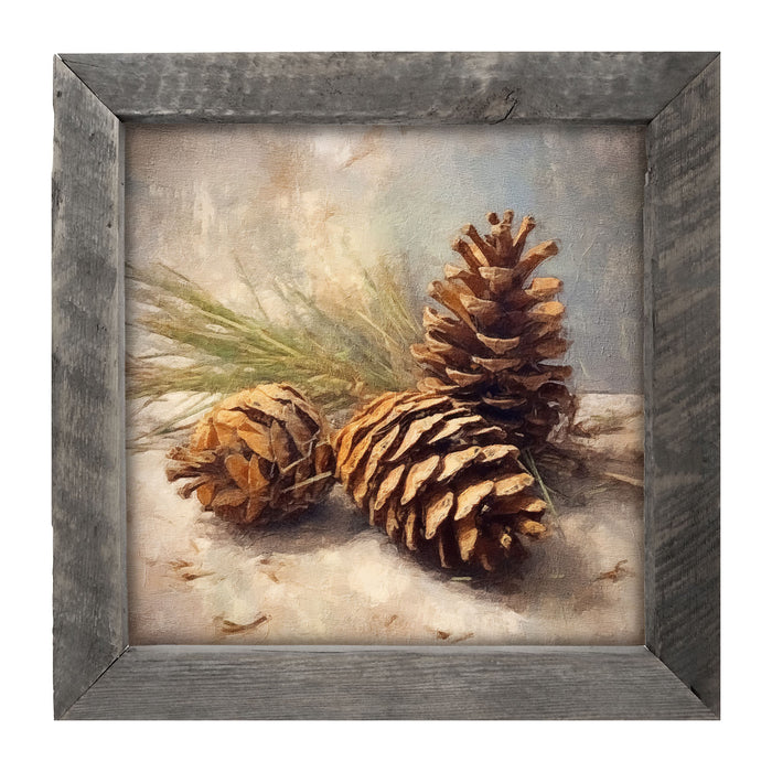Pine cone closeup
