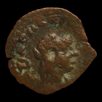 Ptolemaic Egypt, Ptolemy I Bronze - 221 to 140 BCE - Greek World