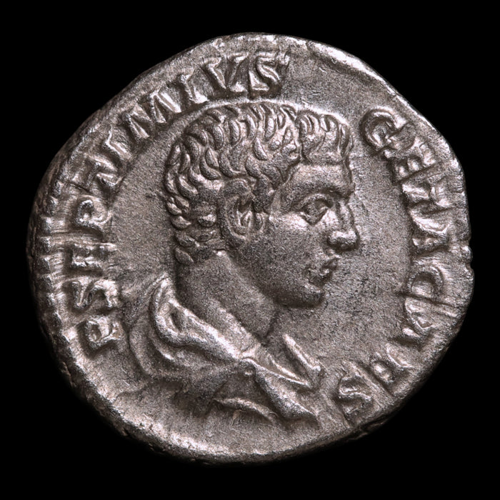 Rome, Emperor Geta, AR Denarius, Providentia (Deity of Prediction) - 203 to 208 CE - Roman Empire