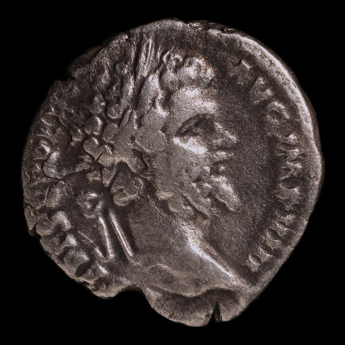 Rome, Emperor Septimius Severus, AR Denarius, Pax (Goddess of Peace) - 196 to 197 CE - Roman Empire