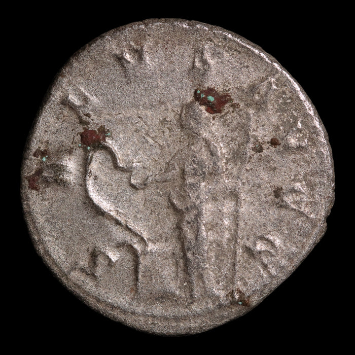 Rome, Emperor Valerian, AR Antoninianus, Salus (Goddess of Safety) - 254 CE - Roman Empire