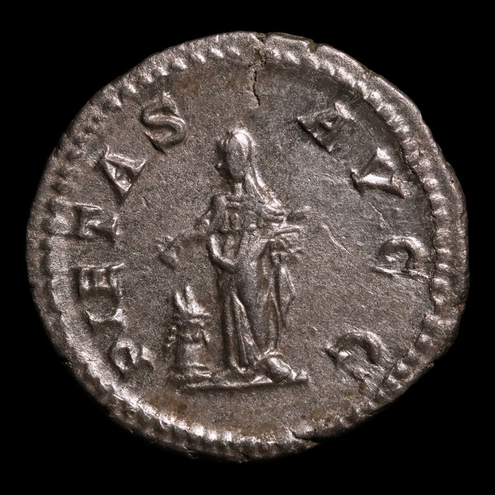 Rome, Empress Julia Domna, AR Denarius, Pietas (Faith & Devotion) - 196 to 211 CE - Roman Empire