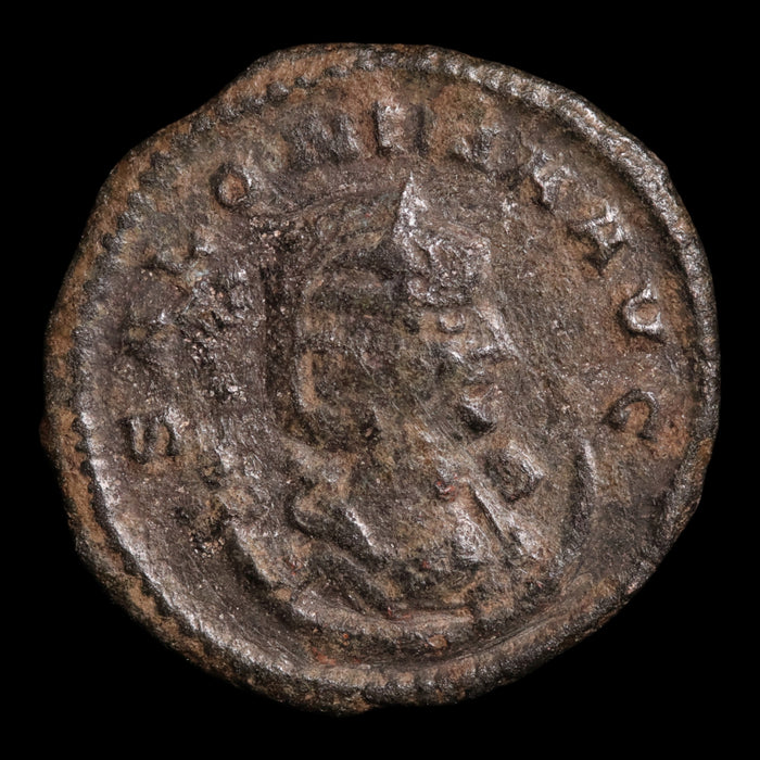 Rome, Empress Salonina, AR Antoninianus, Salus (Goddess of Safety) - 267 CE - Roman Empire