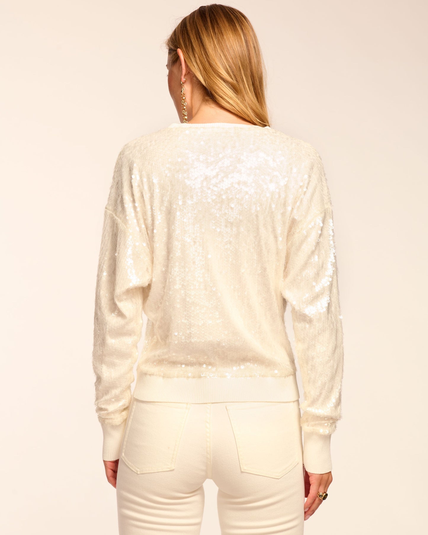 Delphina Sequin V-Neck Long Sleeve Top